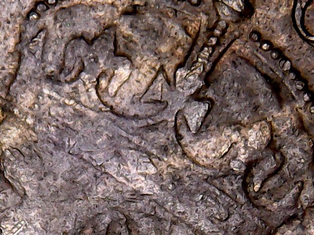 Using-TPGs-For-Grading-Aussie-Coin-In-The-USA